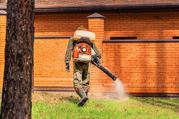 Trusted Emergency Pest Control service in Derby, CT - Nex Pest Control